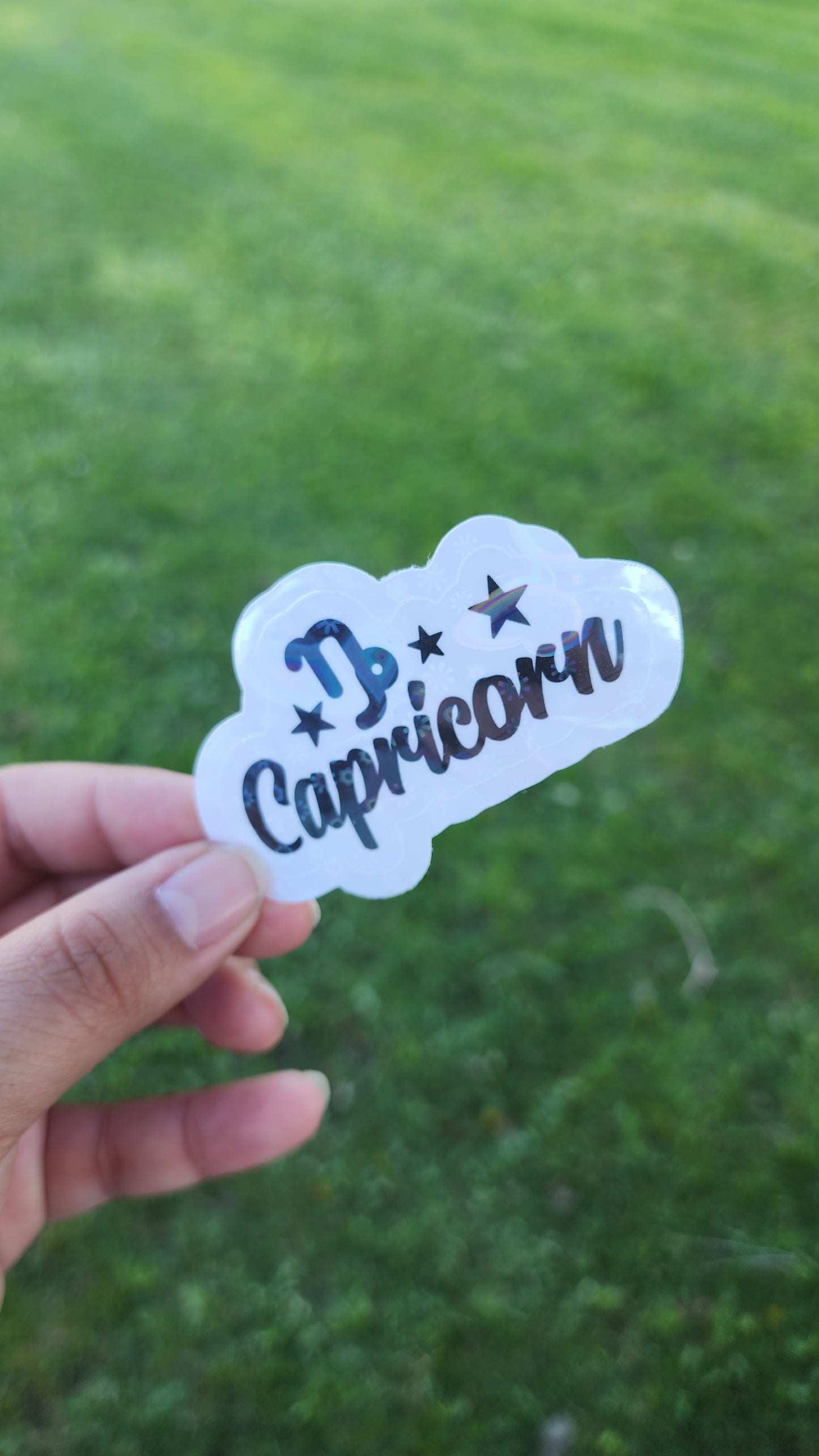 Zodiac Stickers