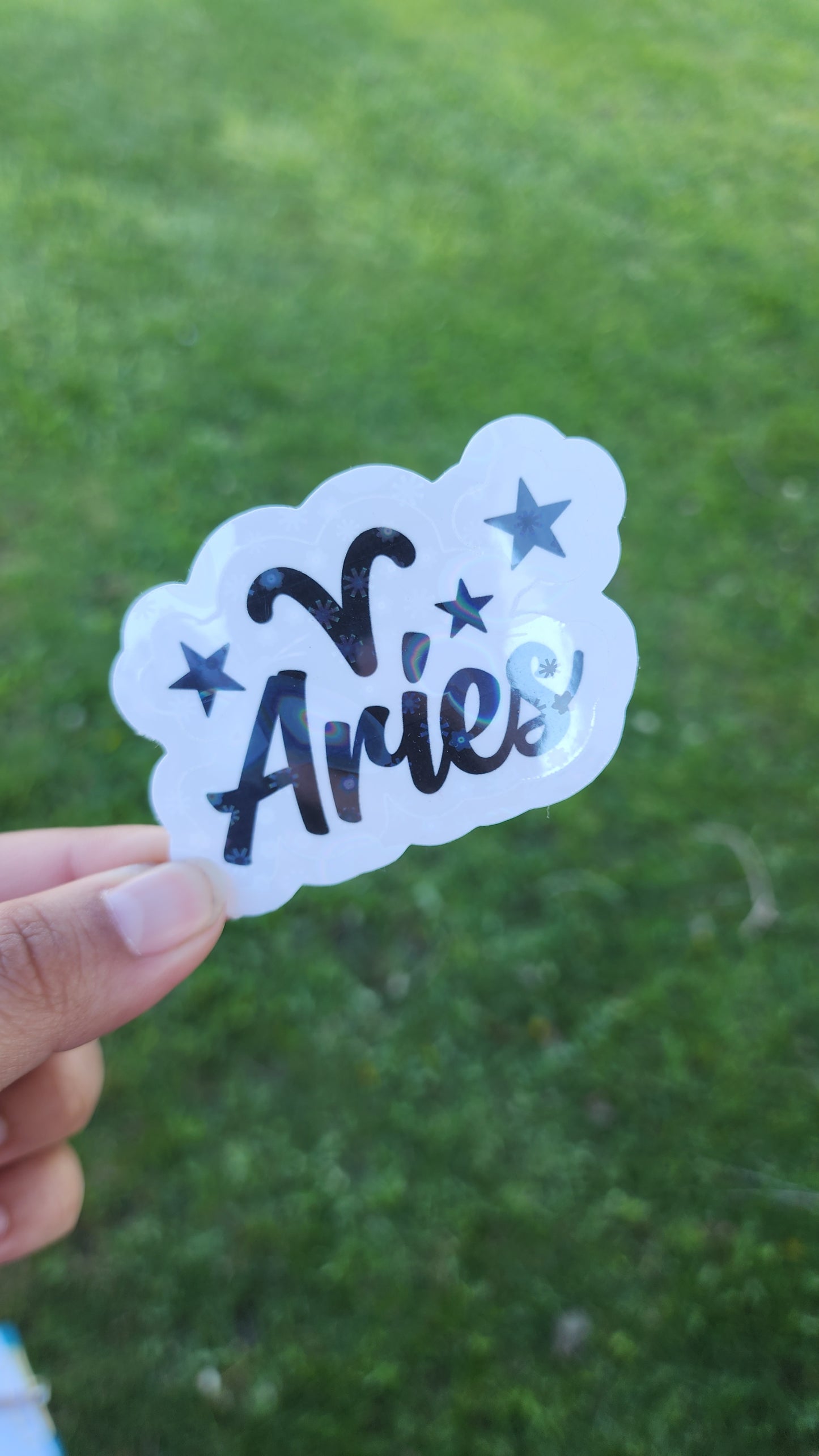 Zodiac Stickers