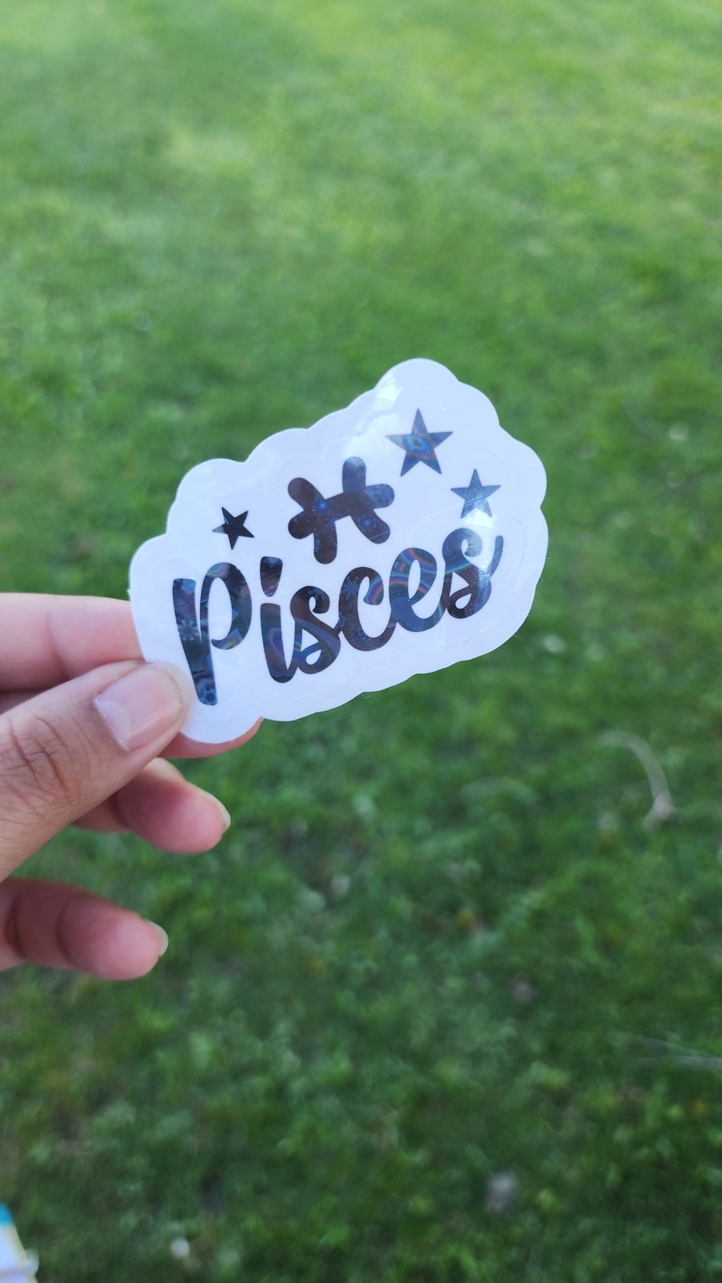 Zodiac Stickers