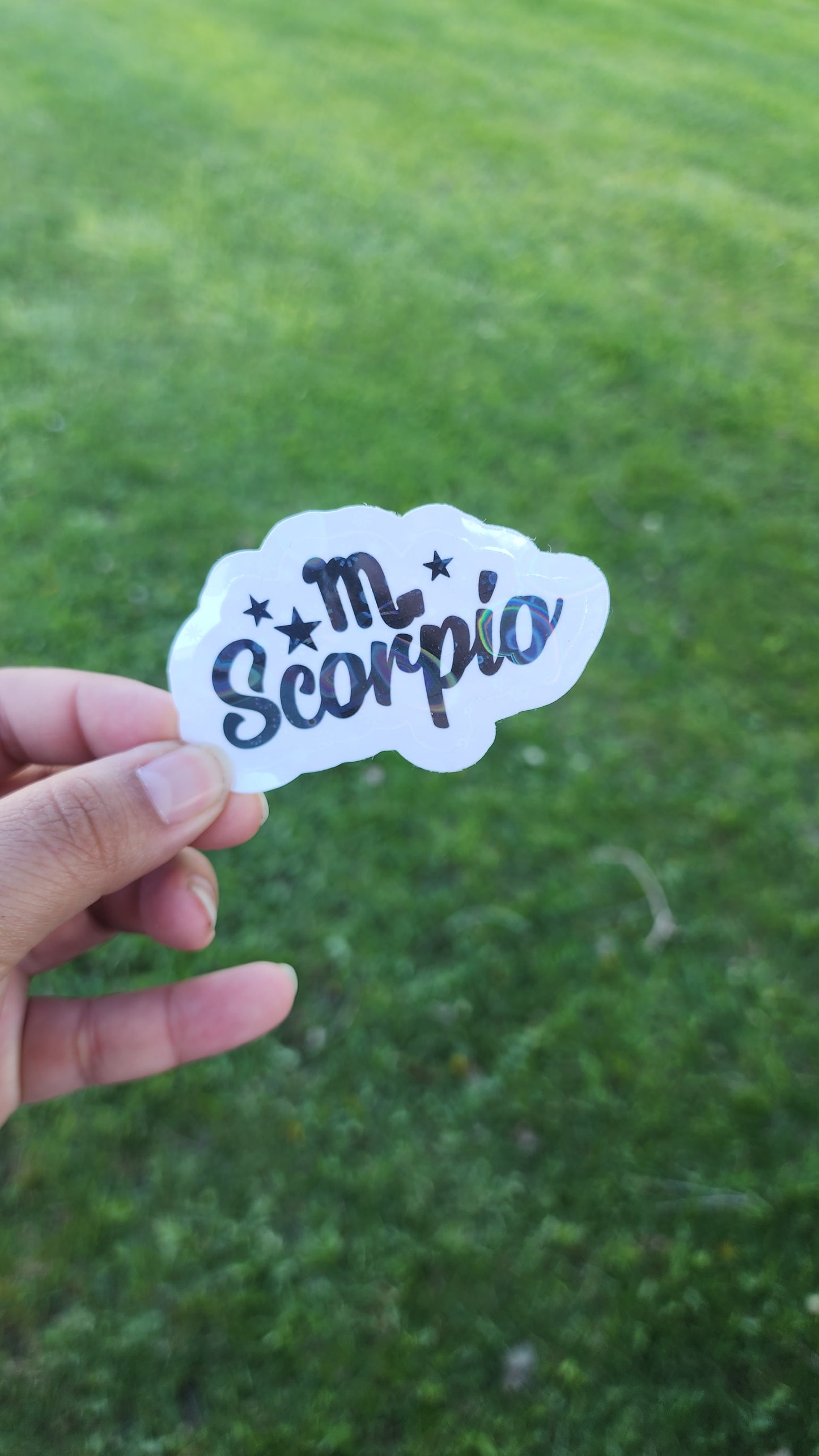 Zodiac Stickers