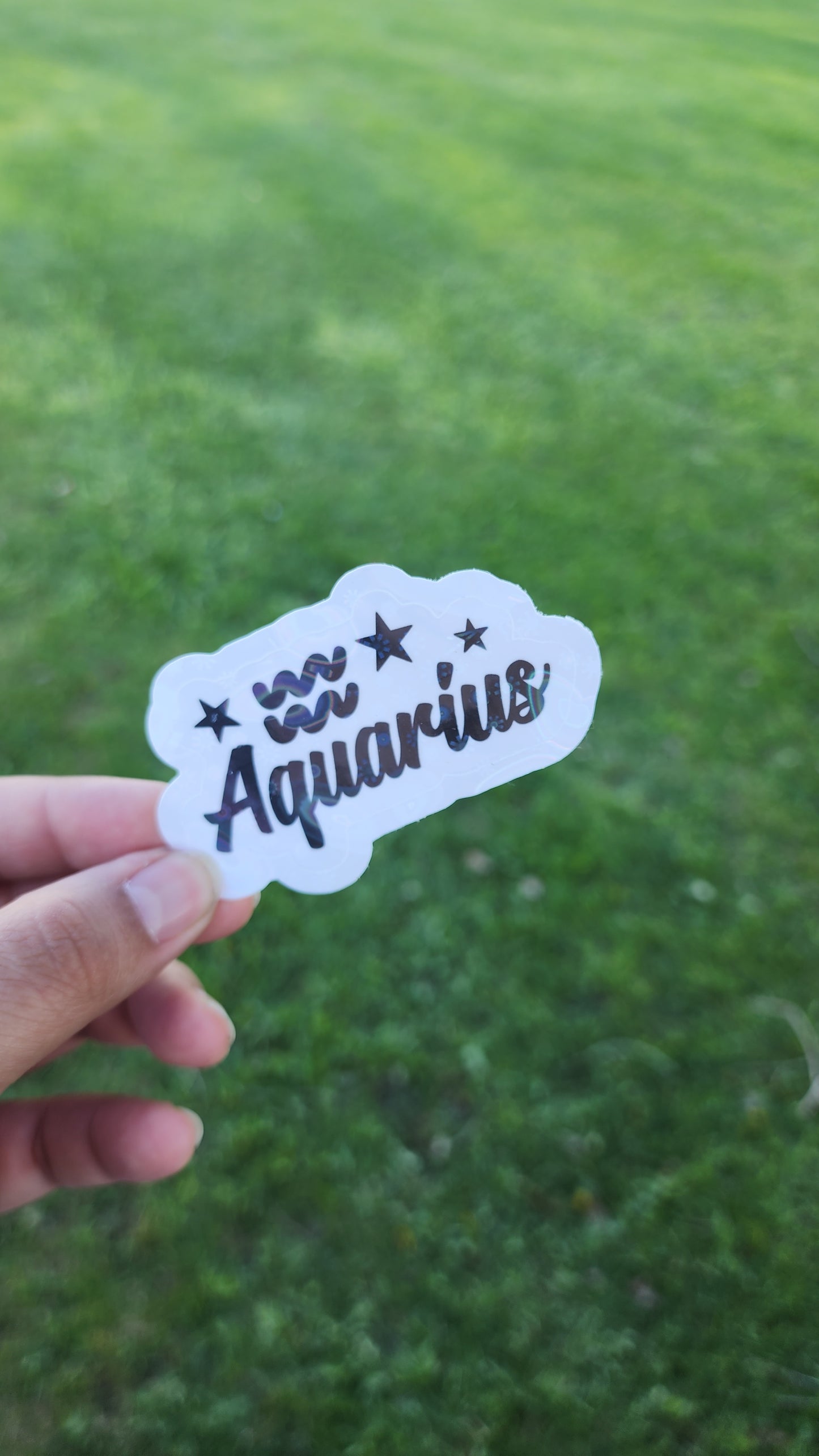 Zodiac Stickers